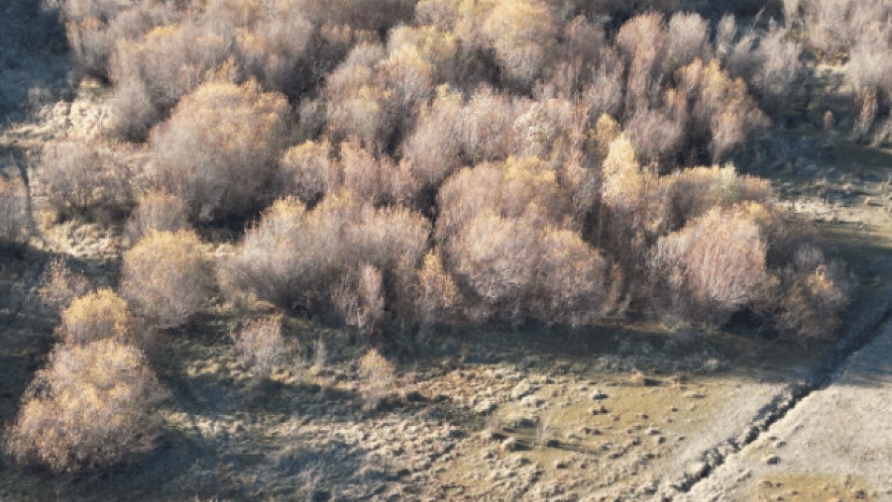 Foto - Sular çekildi, 58 yıl sonra ortaya çıktı! ‘Şu anda tam üstündeyiz