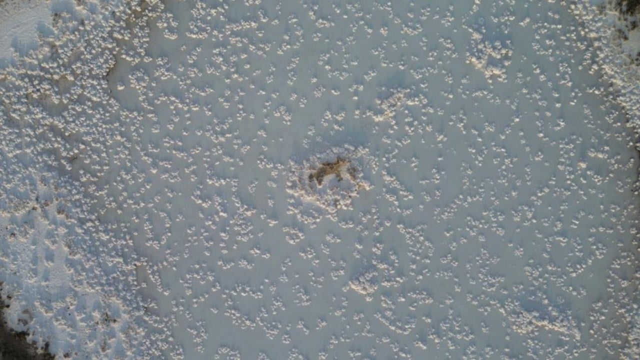 Foto - Sular çekilince böyle oldu! Tuz Gölü, Pamukkale travertenlerini andırdı