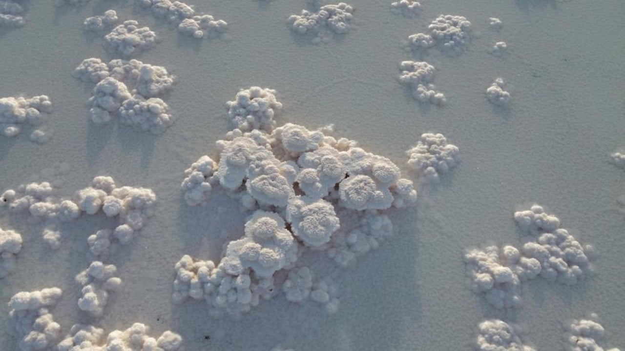 Foto - Sular çekilince böyle oldu! Tuz Gölü, Pamukkale travertenlerini andırdı