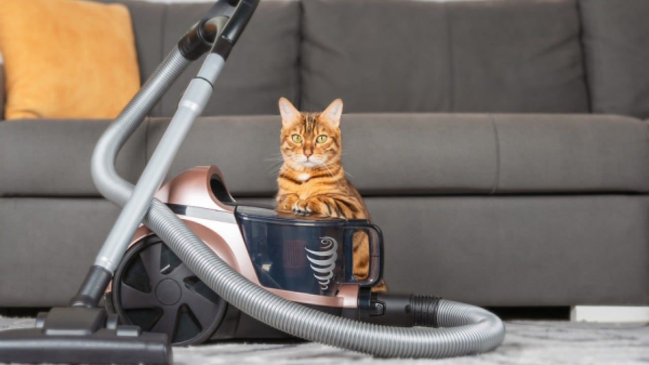 Foto - Süpürge ayrımcılığa maruz kaldı! Yeni teknoloji orta yerde eskisi dolapta