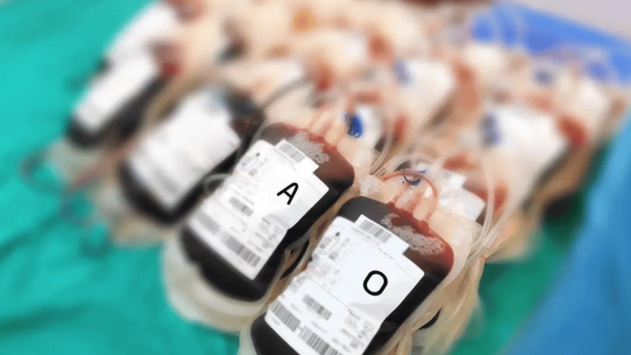 Foto - Sürpriz çıktı: Dünyada tek bir kişide görülen kan grubu tespit edildi!