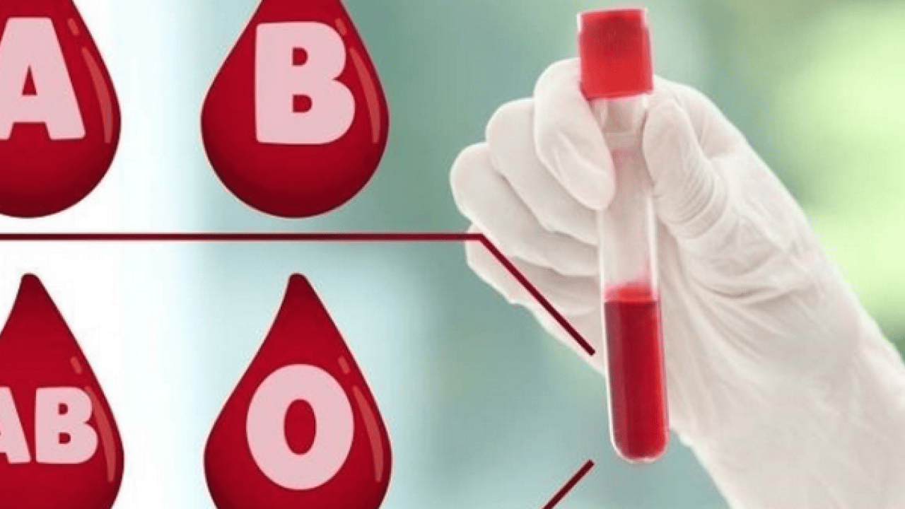 Foto - Sürpriz çıktı: Dünyada tek bir kişide görülen kan grubu tespit edildi!