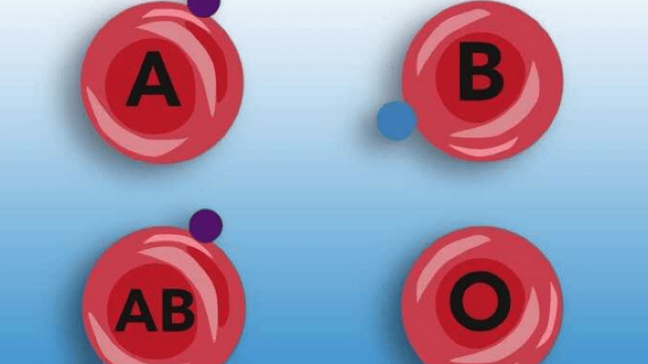 Foto - Sürpriz çıktı: Dünyada tek bir kişide görülen kan grubu tespit edildi!