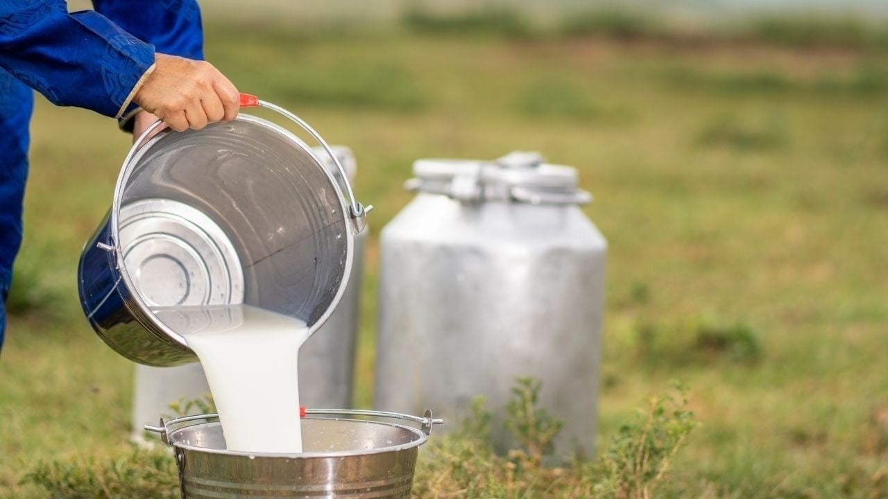 Foto - Şurupları reddediyor: Profesörün öksürük sırrı