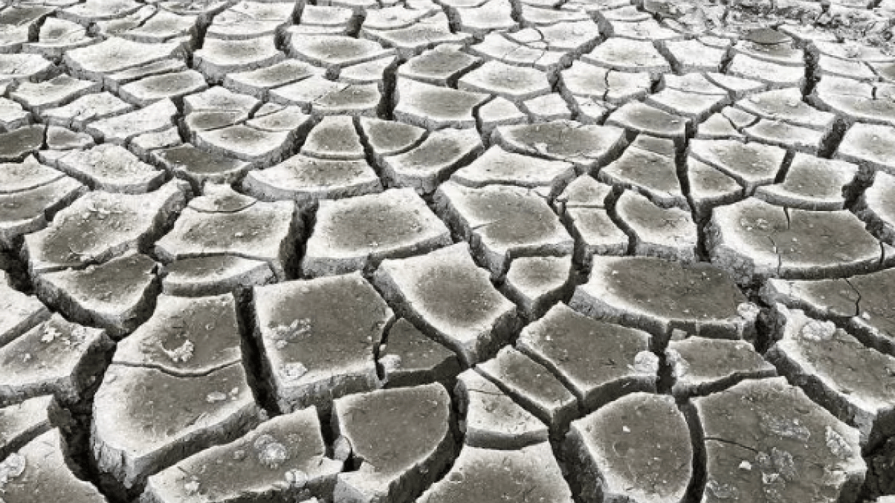 Sususluktan kırılacaklar: Komşudan kuraklığa deniz suyu çözümü!