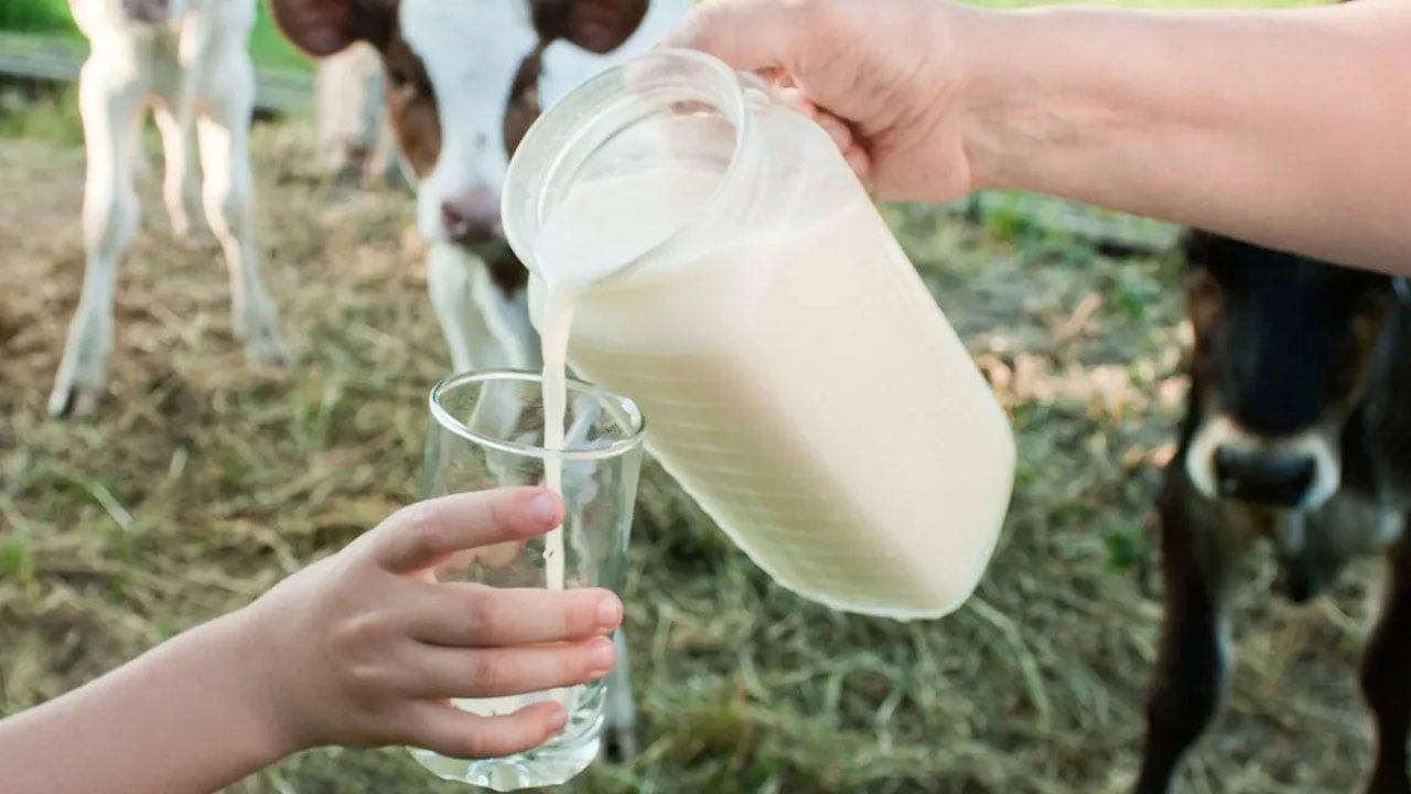 Foto - Süt içmiyorsan üzülme! İşte sütten daha fazla kalsiyum içeren besinler