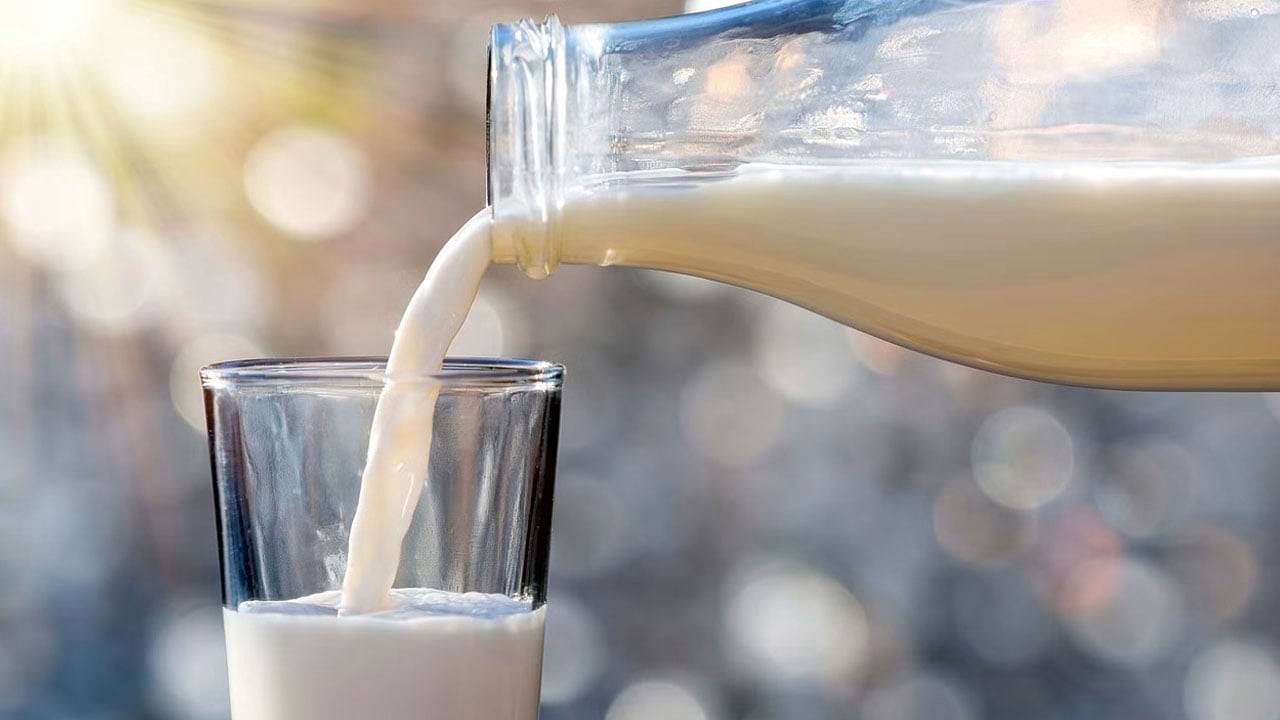 Süt içmiyorsan üzülme! İşte sütten daha fazla kalsiyum içeren besinler