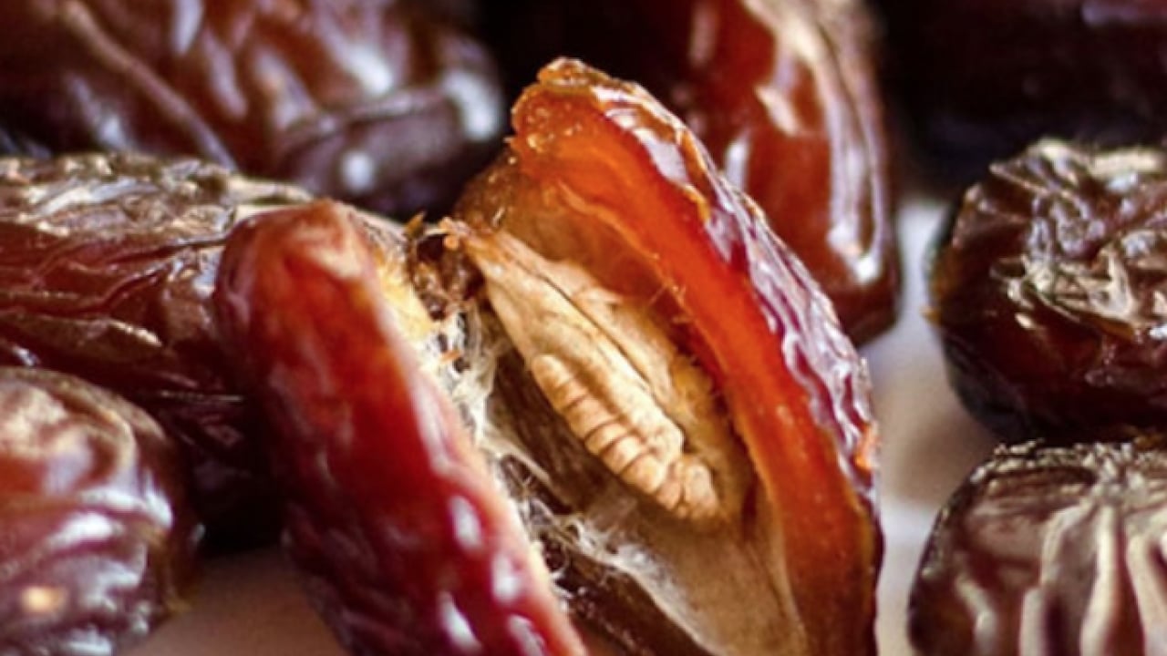 Foto - Suudi Arabistan ana vatanı... Orucu hurmayla açmanın faydası ne olabilir? Uzmana kulak verin... 