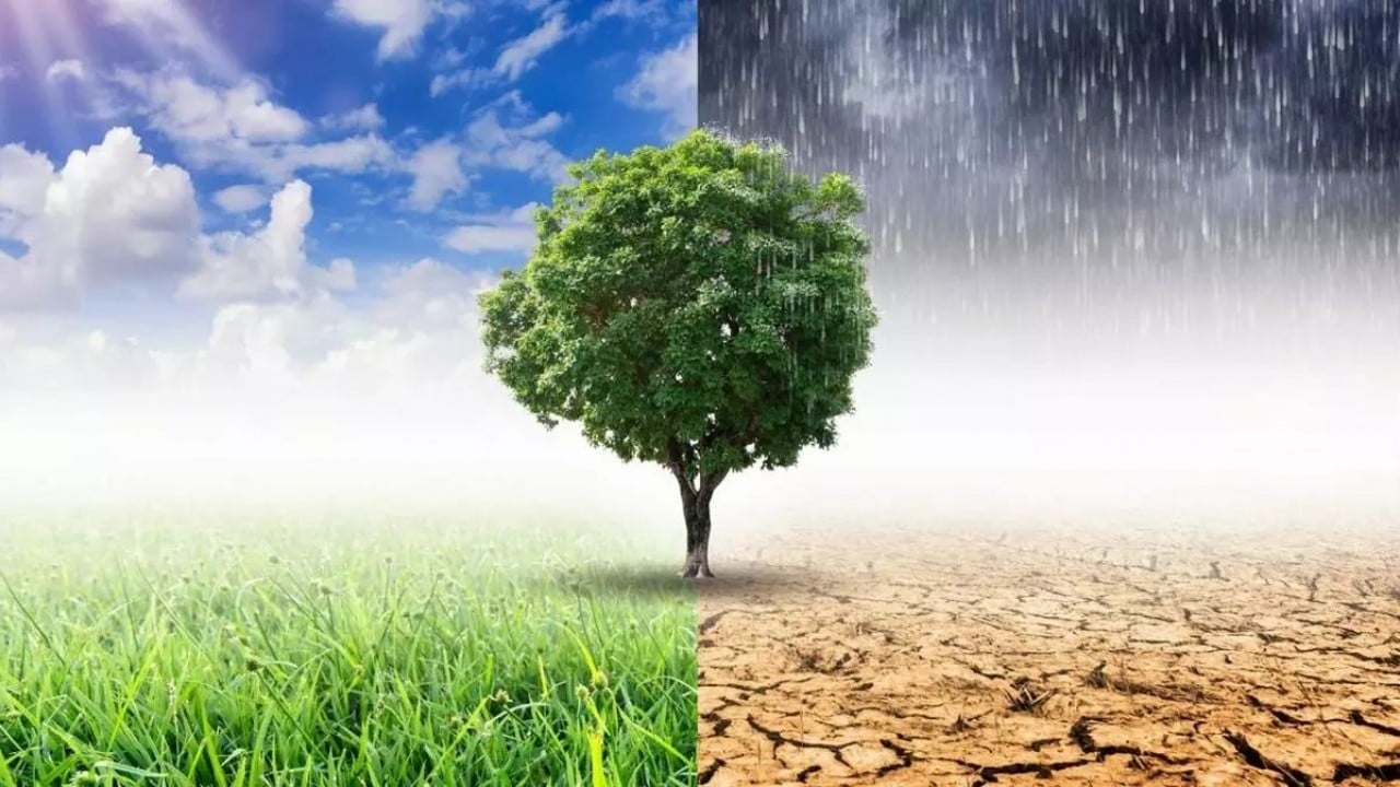 Tabiatın dengesini bozduk 1 sene kurak 1 sene yağış