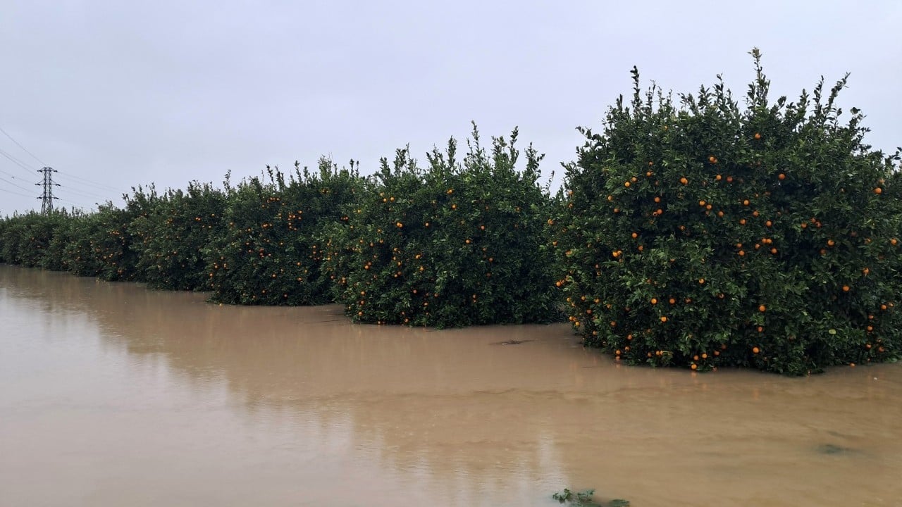 Foto - Tabiatın dengesini bozduk 1 sene kurak 1 sene yağış