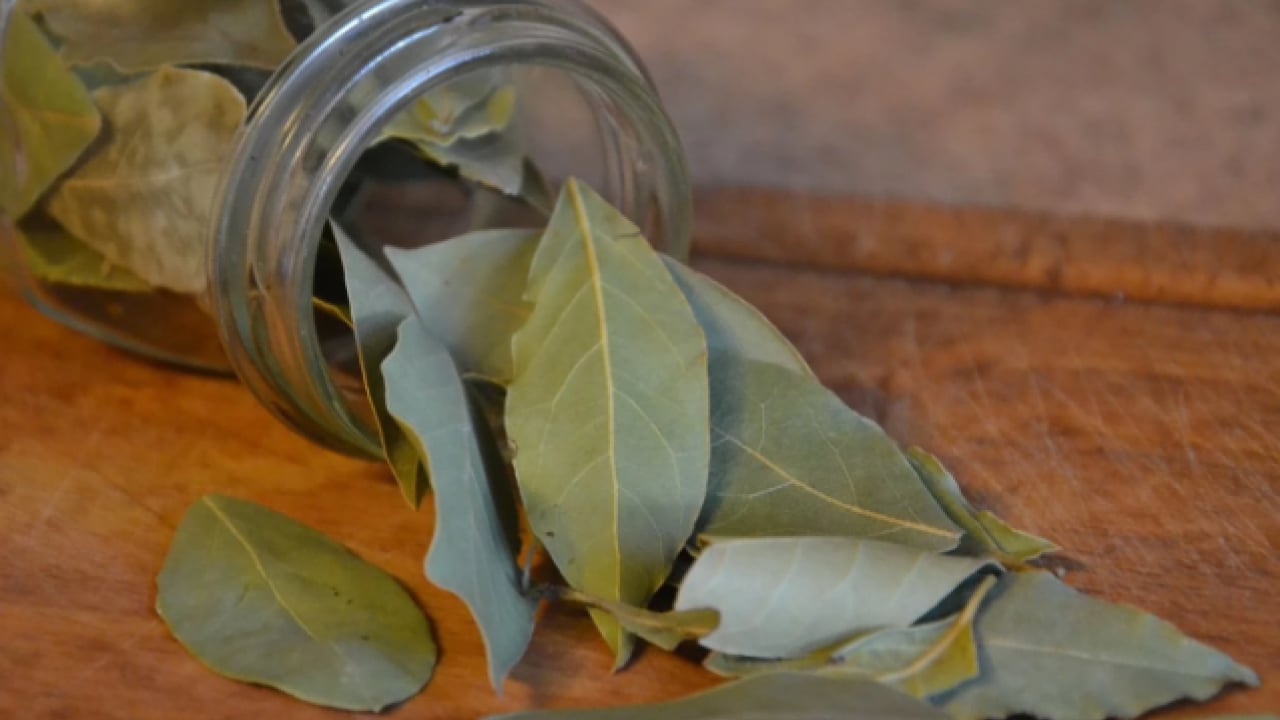 Foto - Tadı çok farklı olacak! Yağ çekmeyen hamsi yapmanın sırrı açıklandı