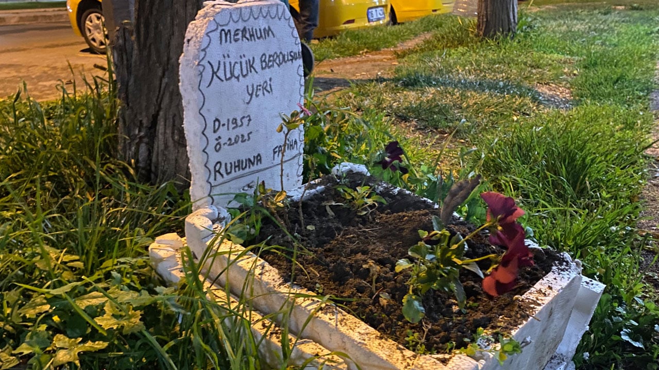 Taksi durağının maskotuydu! Muhabbet kuşu için yapılanlar duygulandırdı