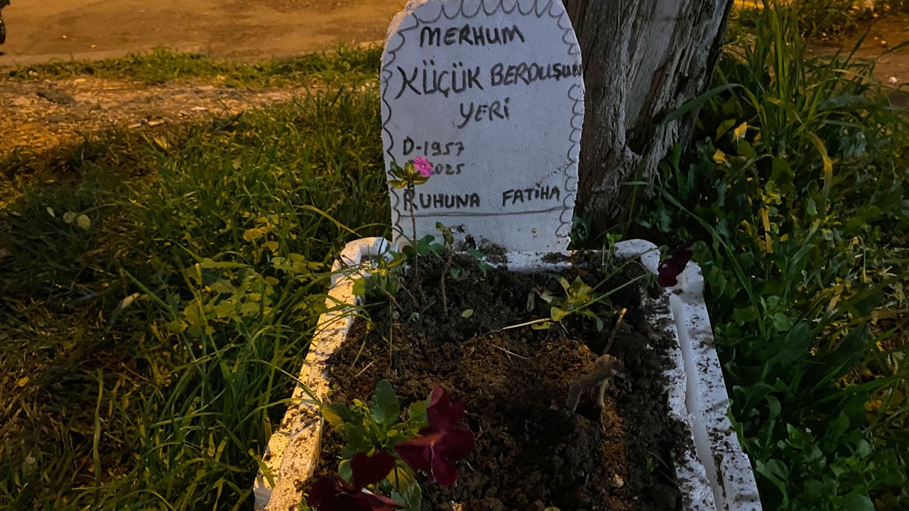 Foto - Taksi durağının maskotuydu! Muhabbet kuşu için yapılanlar duygulandırdı