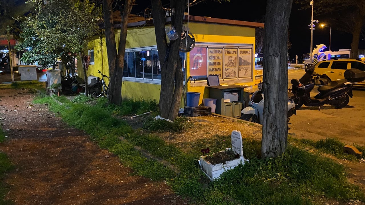 Foto - Taksi durağının maskotuydu! Muhabbet kuşu için yapılanlar duygulandırdı
