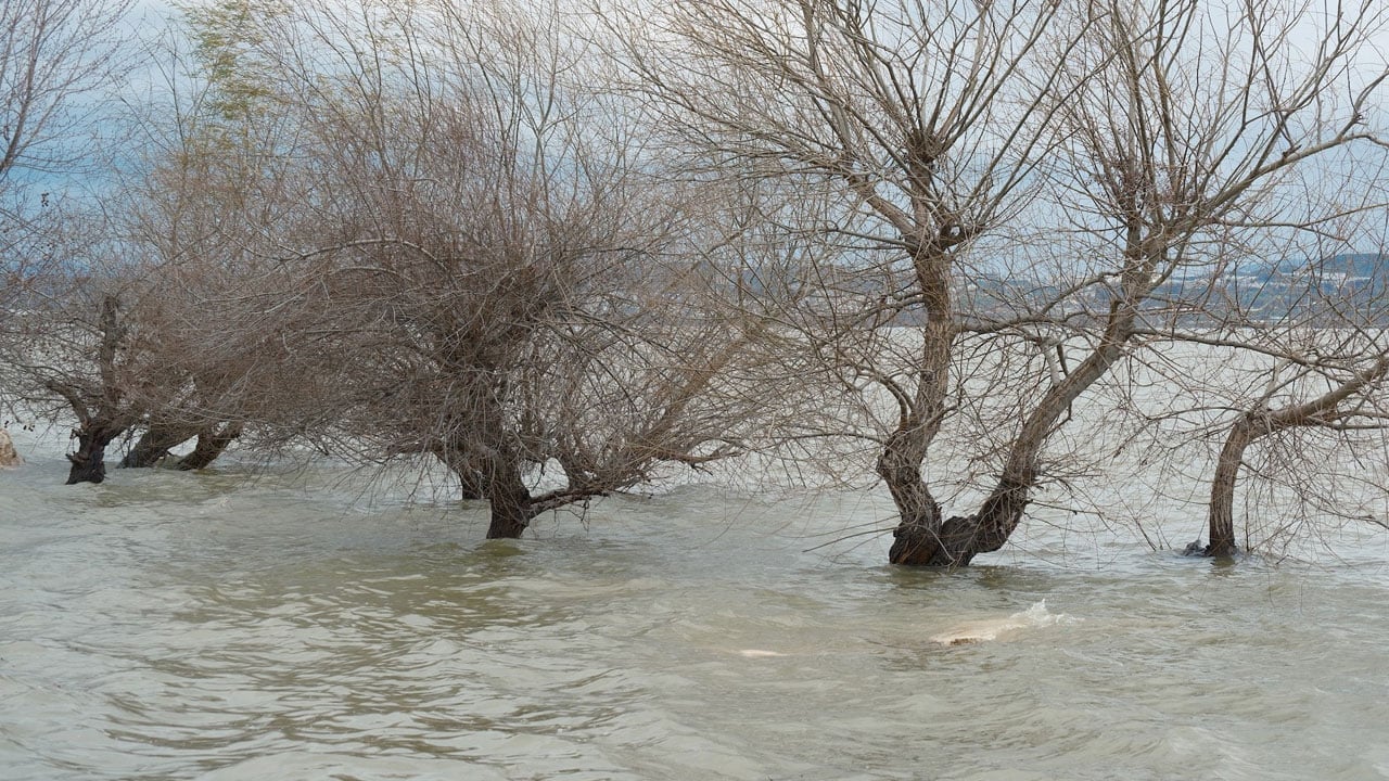 Foto - Tam 10 yıl sonra yeniden aynı manzara! Burası Venedik değil Ulubat Gölü