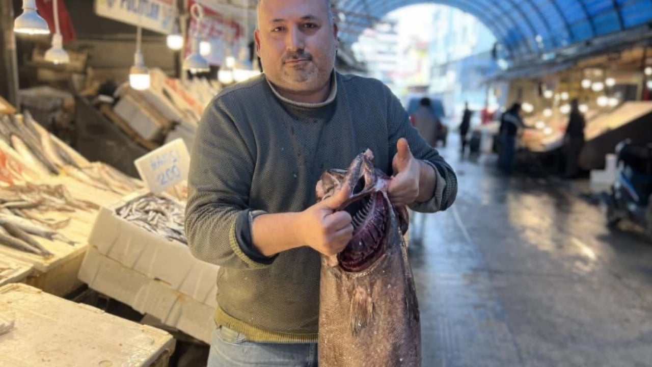 Foto - Tam 1.5 metre boyutunda! Sezonun en dikkat çekici avı yakalandı