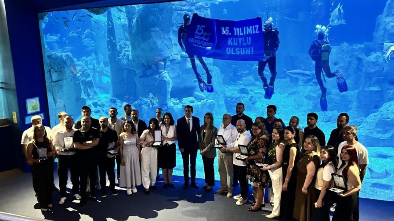 Foto - Tam 150 ülkeden geliyorlar Su altının mükemmel dünyası