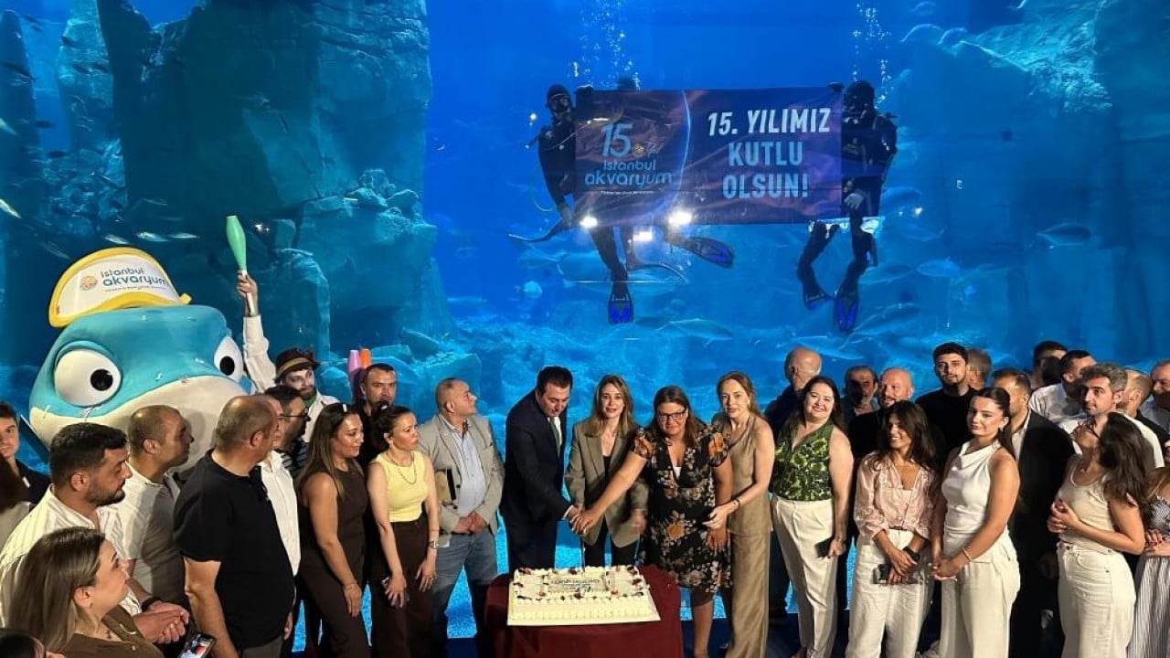Tam 150 ülkeden geliyorlar Su altının mükemmel dünyası