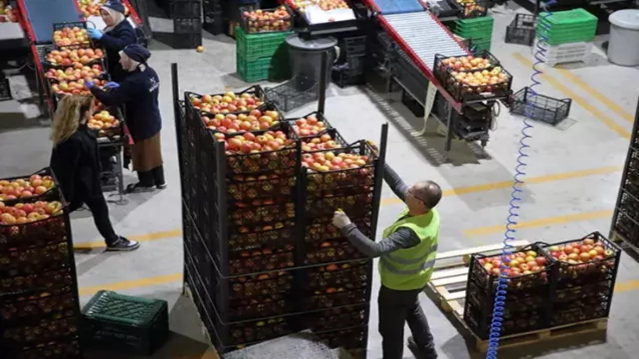 Foto - Tam 25 ülkeye ihracat yapıyordu! Türkiye’nin gıda devi sessiz sedasız iflas bayrağını çekti 