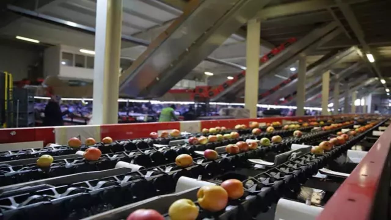 Foto - Tam 25 ülkeye ihracat yapıyordu! Türkiye’nin gıda devi sessiz sedasız iflas bayrağını çekti 