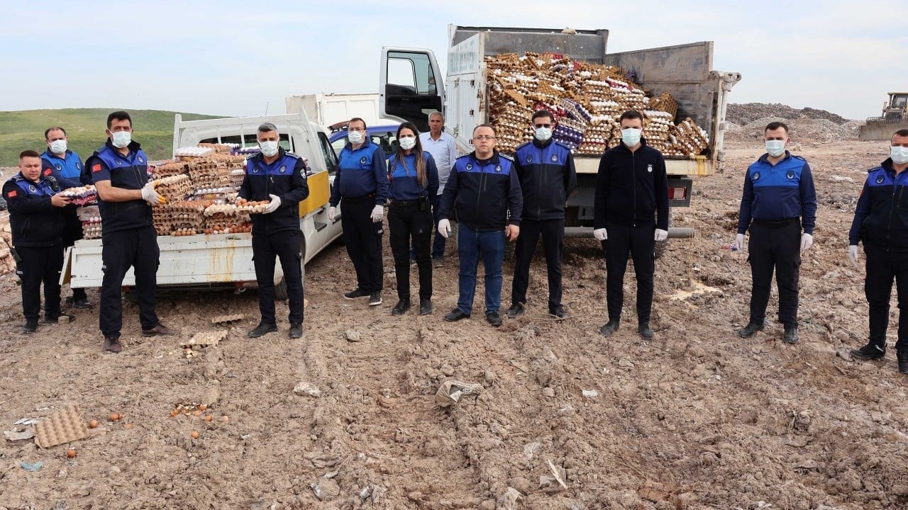 Foto - Tam 5 bin koli... On binlerce yumurta imha edildi!