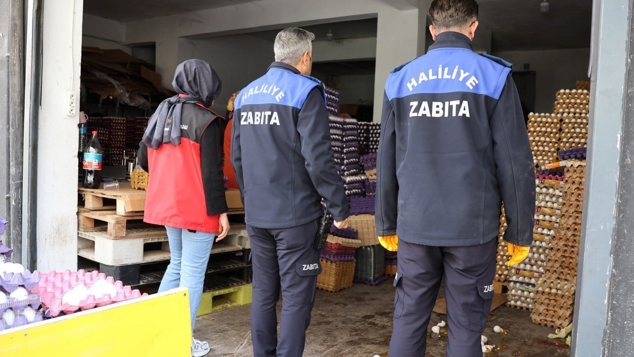 Foto - Tam 5 bin koli... On binlerce yumurta imha edildi!