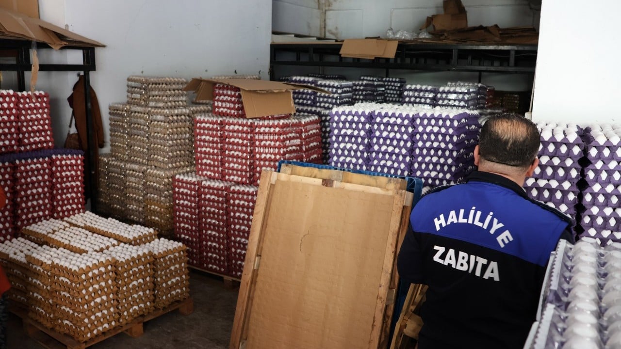 Foto - Tam 5 bin koli... On binlerce yumurta imha edildi!