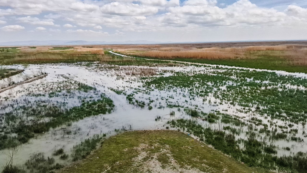 Foto - Tam 8 yıl sonra yeniden su tuttu! Nasreddin Hoca’nın maya çaldığı Akşehir Gölü’nde umut veren manzara