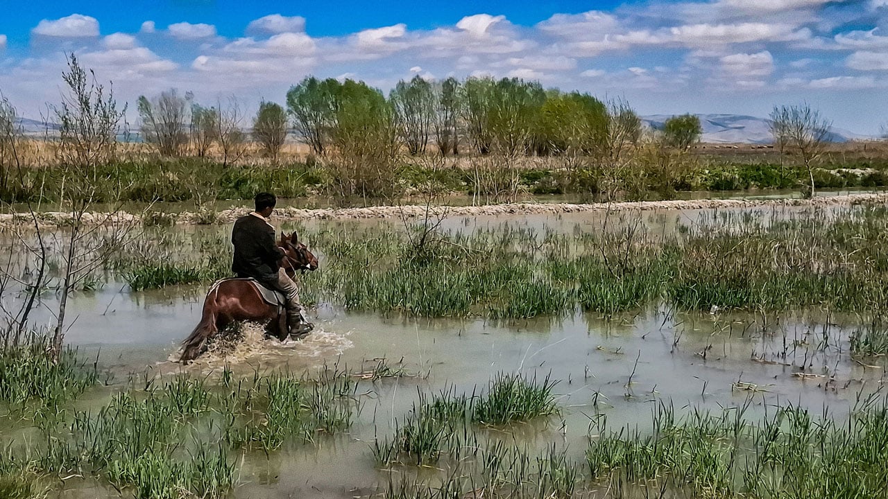 Foto - Tam 8 yıl sonra yeniden su tuttu! Nasreddin Hoca’nın maya çaldığı Akşehir Gölü’nde umut veren manzara