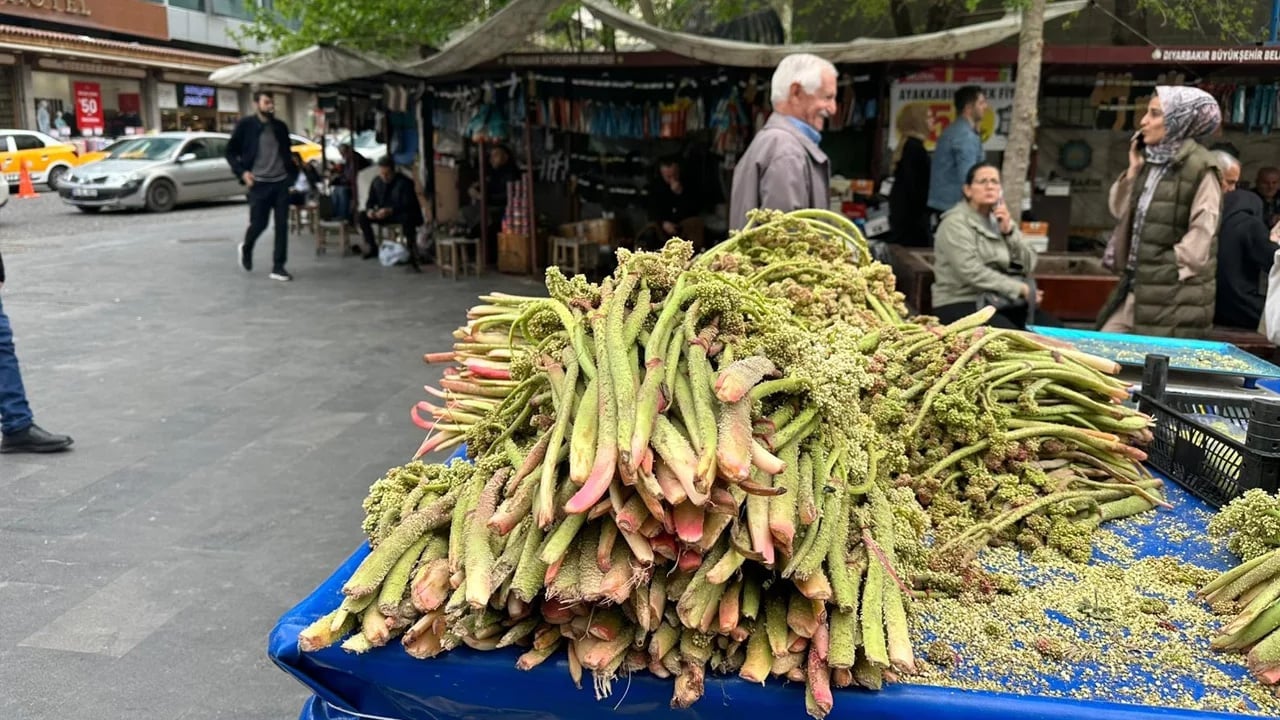 Foto - Tam bir mucize gibi! Diyarbakır'da tezgâhlara indi! Çok ama çok şaşıracaksınız
