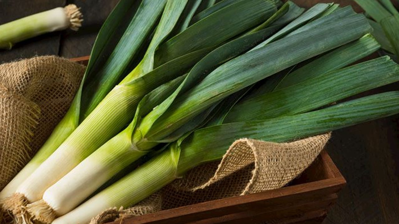 Foto - Tam bir şifa deposu: Kıymetini kimse bilmiyor ama kaşık kaşık yiyince tansiyonu düzenliyor! 