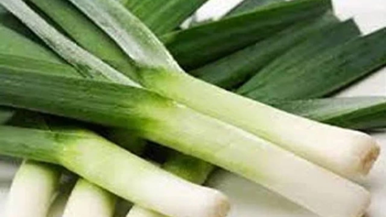 Foto - Tam bir şifa deposu: Kıymetini kimse bilmiyor ama kaşık kaşık yiyince tansiyonu düzenliyor! 