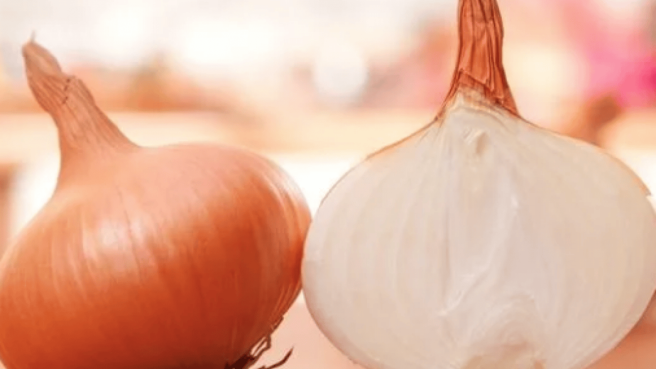 Foto - Tam bir şifa deposuna dönüşüyor... Soğan suyu içerseniz bakın neler oluyor...