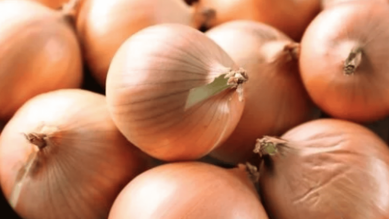 Foto - Tam bir şifa deposuna dönüşüyor... Soğan suyu içerseniz bakın neler oluyor...