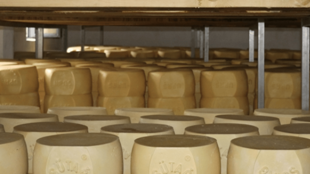 Foto - Gündeme geldi: Tam yağlı süt ürünleri beyni koruyabilir mi? Yetkililer harekete geçirdiler! Bu bir başlangıç...