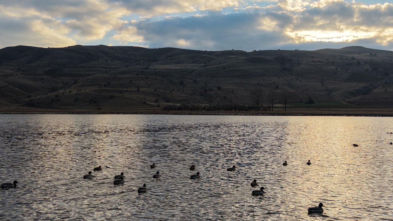 Tamamen kurumuştu… Terk edilen göl kuşlarla yeniden doldu