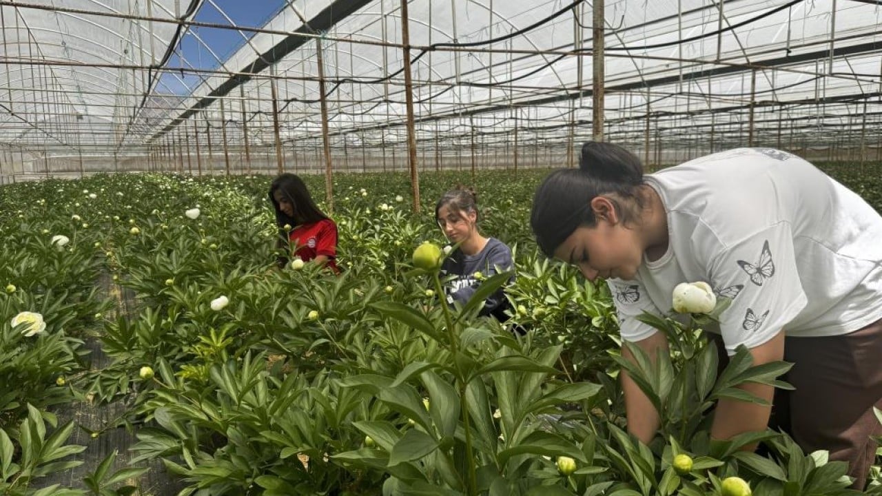 Tanesini 150 liradan satan üreticinin yüzü gülüyor