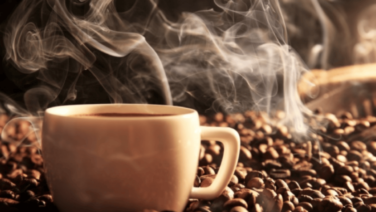 Foto - Tarçın: Kan şekeri dengeliyor! Az kilo hayali olanlar, diyet görevi gören bu!