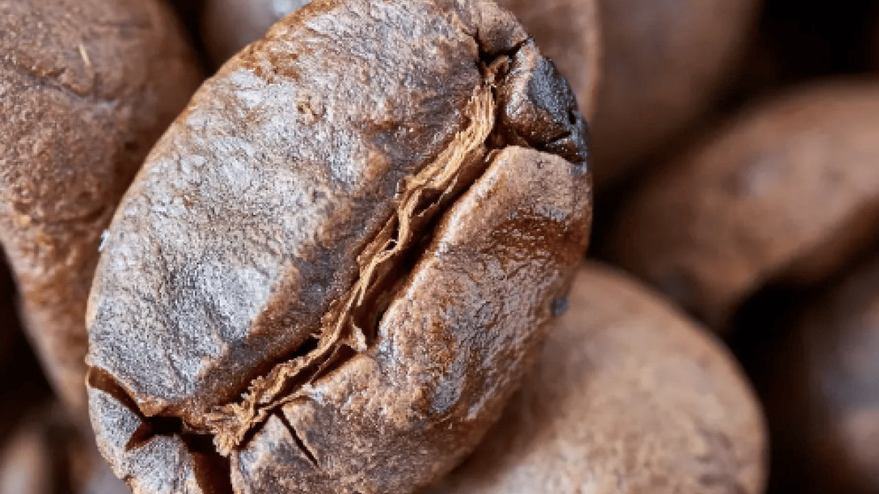 Foto - Tarçın: Kan şekeri dengeliyor! Az kilo hayali olanlar, diyet görevi gören bu!