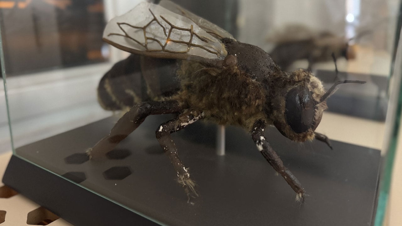 Foto - Tarih, doğa ve kristal kar! Kışın büyüleyen iki şehir!