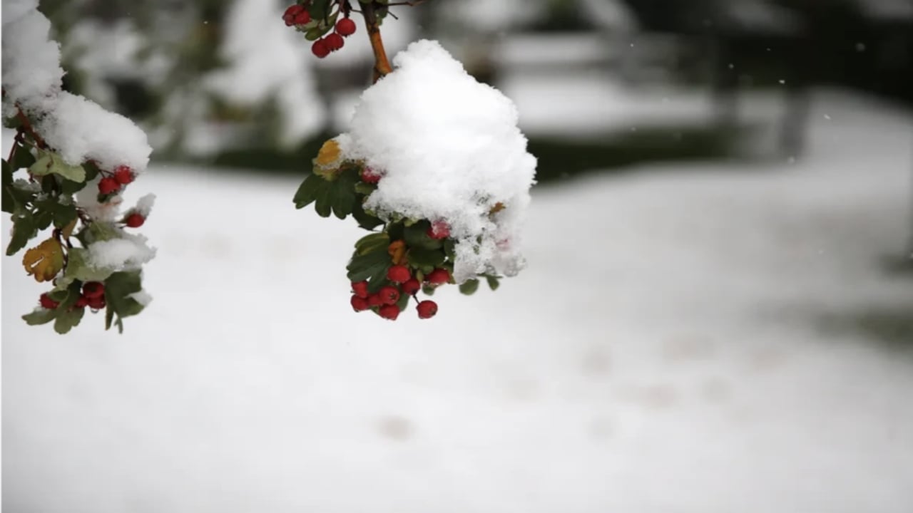 Foto - Tarih verildi, iller tek tek sayıldı! Kar bu defa çok kuvvetli geliyor