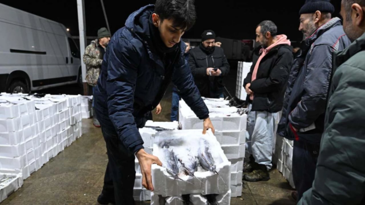 Foto - Tarihi İstanbul fotoğraflarında yer alıyordu! 40 yıl sonra Marmara'ya geri döndü