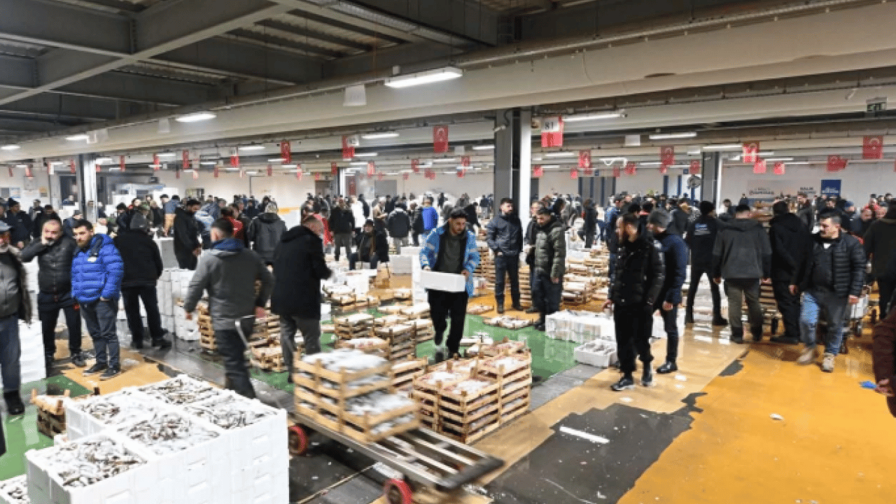 Foto - Tarihi İstanbul fotoğraflarında yer alıyordu! 40 yıl sonra Marmara'ya geri döndü