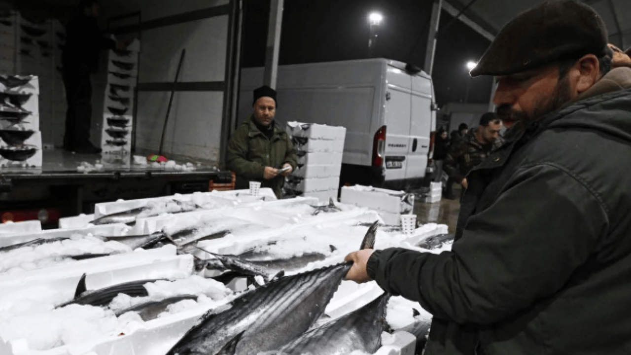 Foto - Tarihi İstanbul fotoğraflarında yer alıyordu! 40 yıl sonra Marmara'ya geri döndü