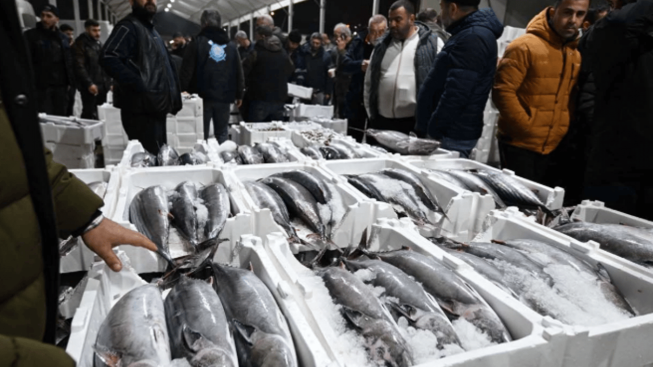 Foto - Tarihi İstanbul fotoğraflarında yer alıyordu! 40 yıl sonra Marmara'ya geri döndü