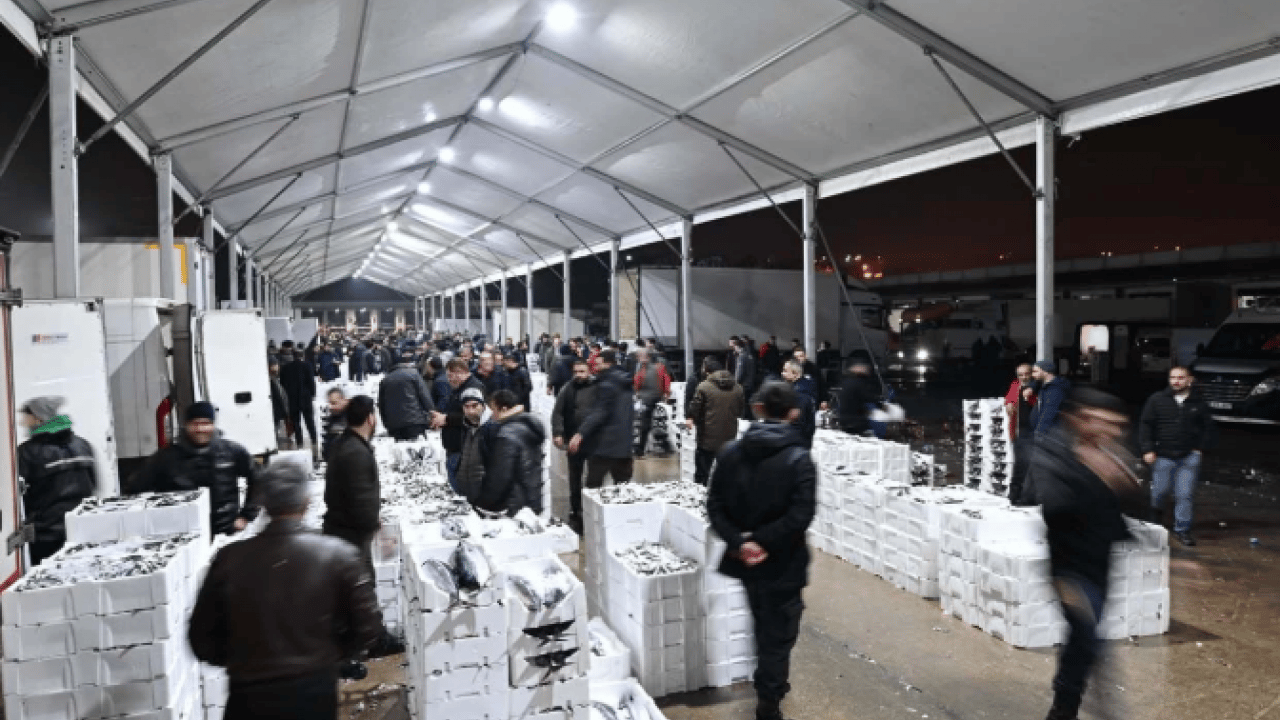Foto - Tarihi İstanbul fotoğraflarında yer alıyordu! 40 yıl sonra Marmara'ya geri döndü