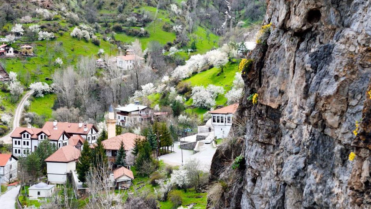 Foto - Tarihi mahalle sarıya büründü! Gümüşhane’de taşlar çiçek açtı