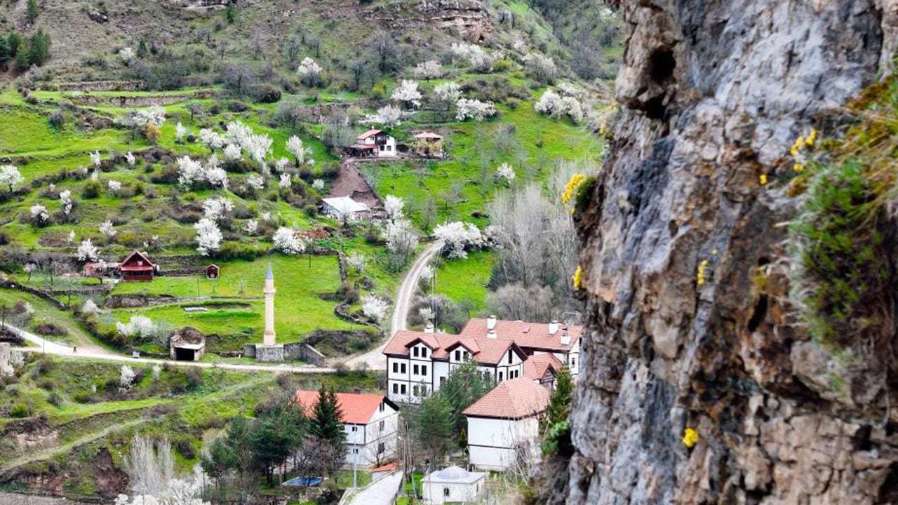 Foto - Tarihi mahalle sarıya büründü! Gümüşhane’de taşlar çiçek açtı
