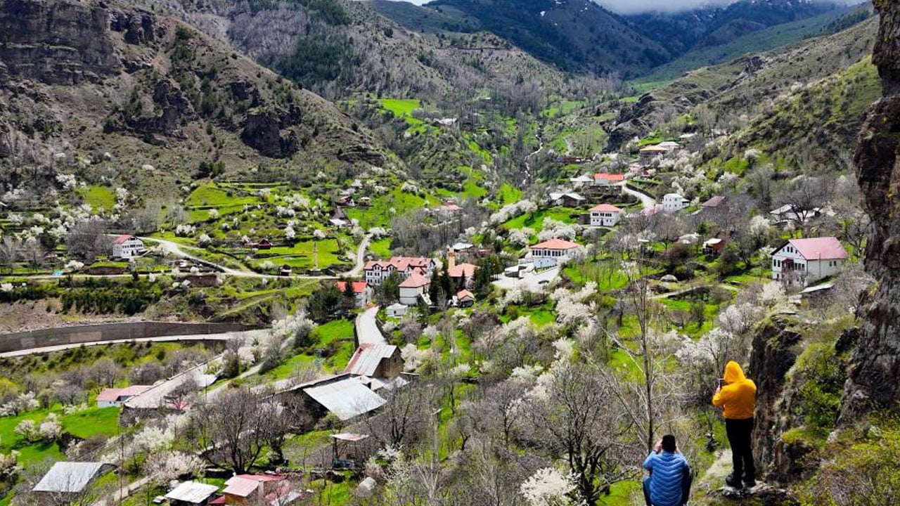 Foto - Tarihi mahalle sarıya büründü! Gümüşhane’de taşlar çiçek açtı