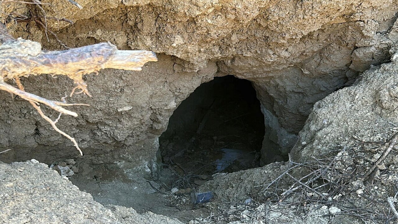 Foto - Tarihi tümülüs definecilerin hedefi oldu! Yangından sonra ortaya çıkmıştı